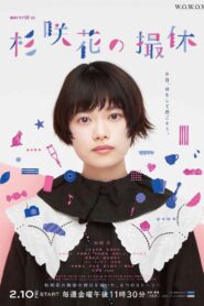Hana Sugisaki’s Filming Break